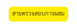 สายตรวจสอบการผสม