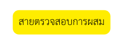 สายตรวจสอบการผสม